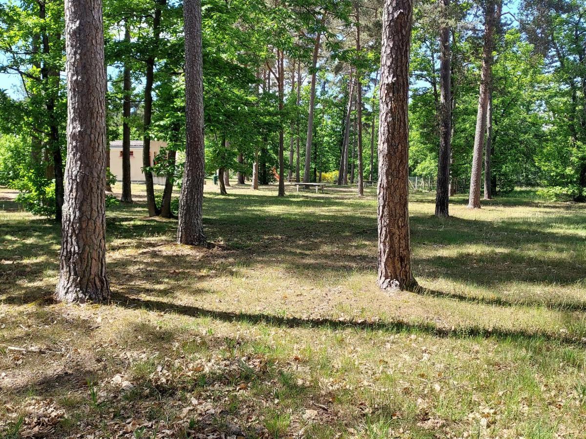 Camping Onlycamp Les Pins Nancay 外观 照片