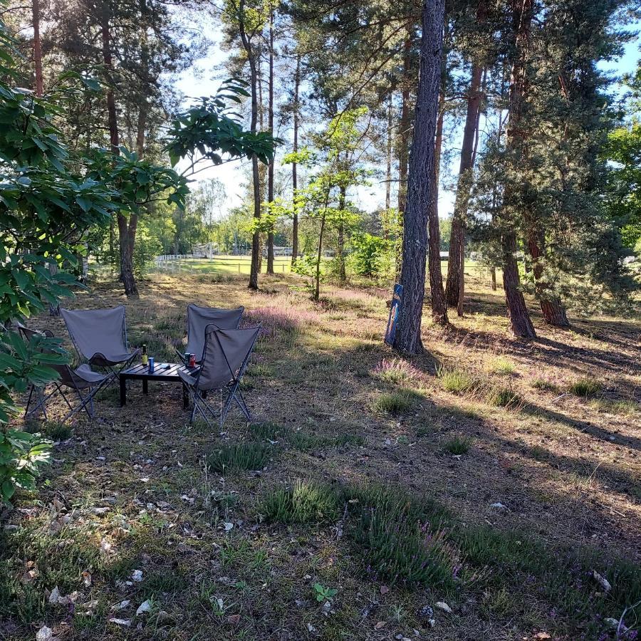 Camping Onlycamp Les Pins Nancay 外观 照片
